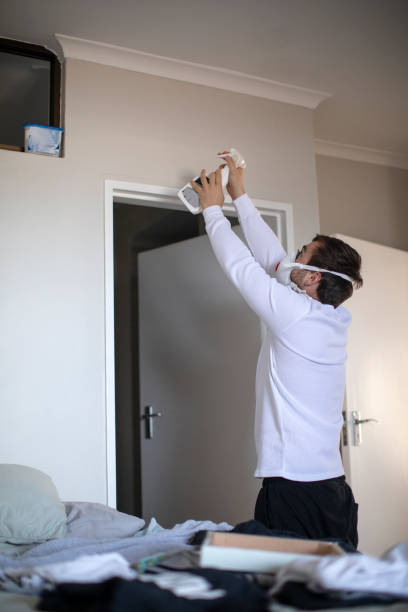 Environmental Consulting for Mold Prevention in Eldorado, IL