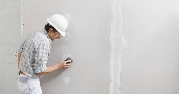 Best Black Mold Removal  in Eldorado, IL