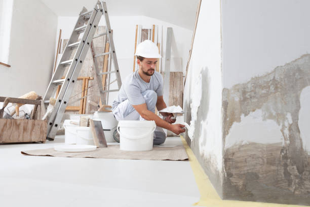 Mold Odor Removal Services in Eldorado, IL