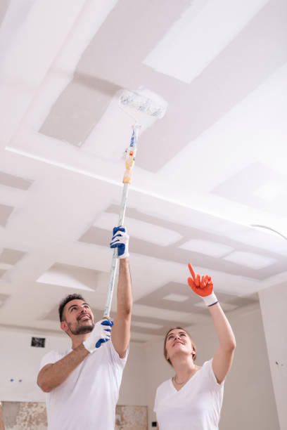 Reliable Eldorado, IL Mold Removal Solutions