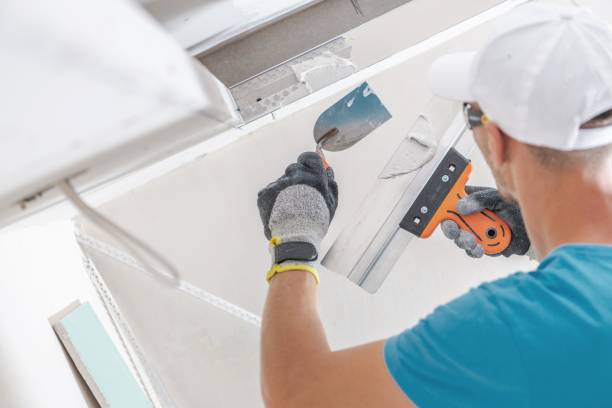 Best Industrial Mold Remediation  in Eldorado, IL